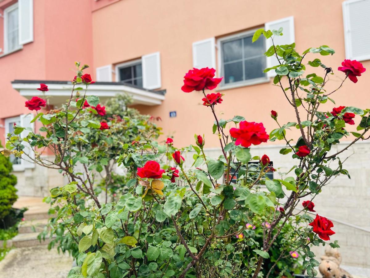 Casa Cino Apartment Umag Luaran gambar